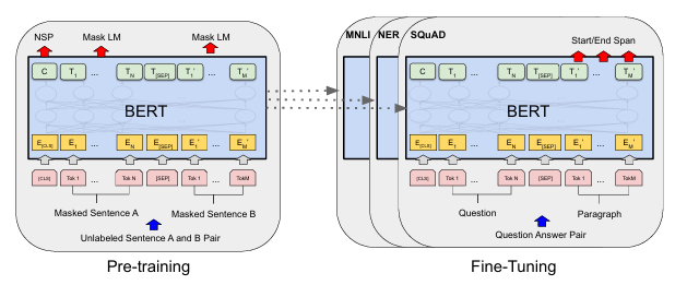 The pre-training and fine-tuning procedures for BERT, an encoder-only model. Adapted from Devlin et al. [devlin2019bert]